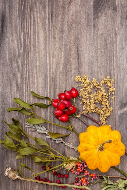 Halloween-Herbstkonzept. Kürbis, Mistel, Holunder, Mohn, Hopfen, Heckenrose, Schisandra