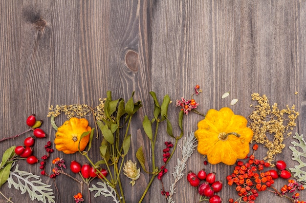 Halloween-Herbstkonzept. Kürbis, Mistel, Holunder, Mohn, Hopfen, Heckenrose, Schisandra