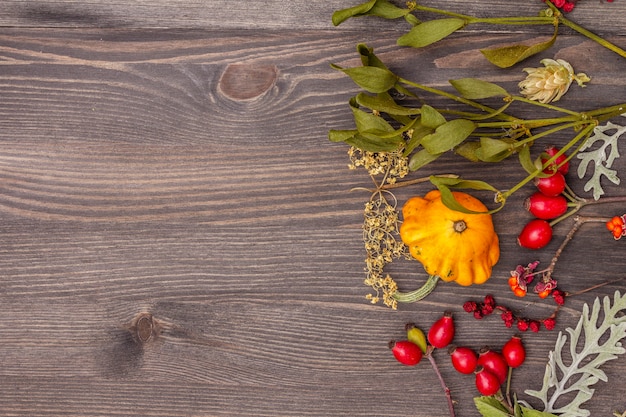 Halloween-Herbstkonzept. Kürbis, Mistel, Holunder, Mohn, Hopfen, Heckenrose, Schisandra