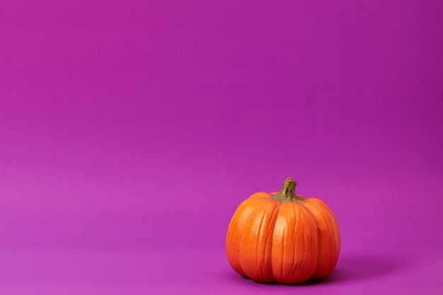 Halloween-Kürbis auf einem lila Hintergrund