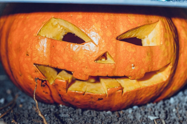 Foto halloween-kürbis hintergrund