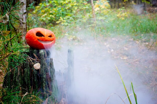 Halloween-Kürbis im herbstlichen Wald auf einer alten StumpJack-Laterne mit Dampf aus dem Mund