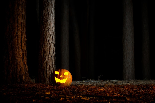 Halloween-Kürbis in einem Wald bei Nacht