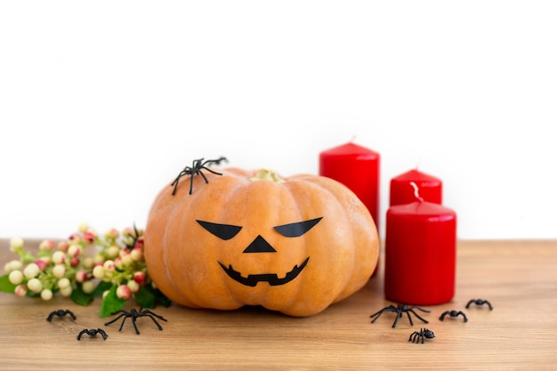 Halloween Kürbis Jack o Lanterns mit Spinnen roten Kerzen und Beeren auf weißem Hintergrund