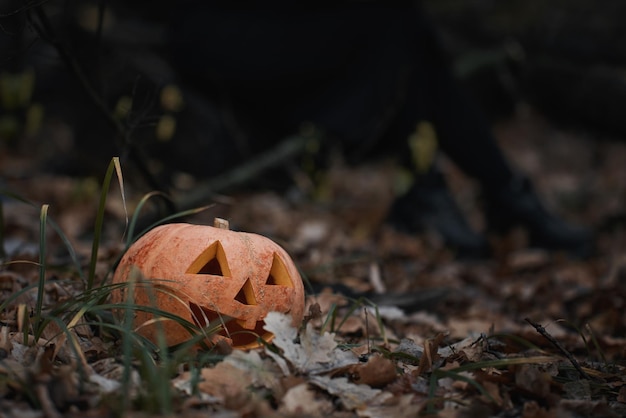 Halloween-Kürbis liegt zwischen Herbstlaub auf dem Boden