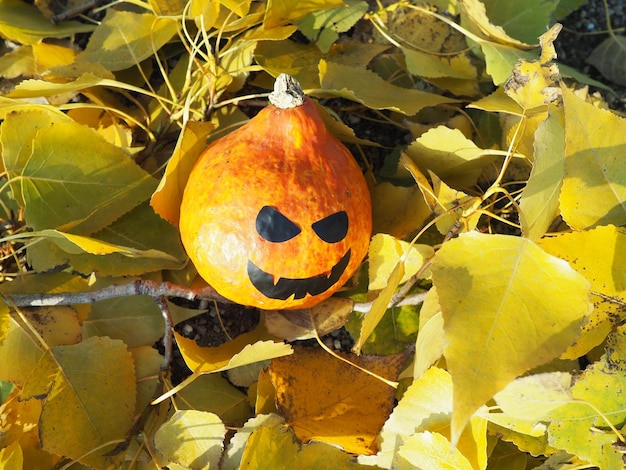 Halloween-Kürbis mit schwarzen Mund- und Augenaufklebern Der orangefarbene Gemüsekürbis liegt auf den herbstlichen gelben Pappelblättern Halloween- oder Helloween-Thema All Hallows Eve oder All Saints Eve Hintergrund