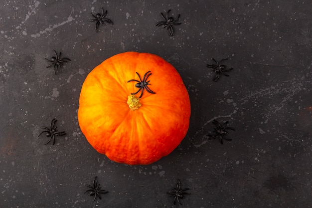 Halloween-Kürbis mit Spinnen um ihn herum auf einem dunklen bacground