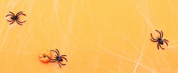 Halloween-Kürbis mit Spinnennetz und schwarzen Spinnen auf orangem Hintergrund