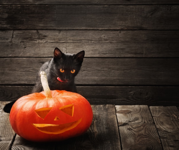 Halloween-Kürbis und schwarze Katze auf hölzernem Hintergrund