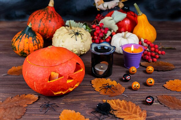 Halloween-Kürbisse auf einem dunklen Holztisch mit Spinnen, Kerzen, Kürbissenblättern