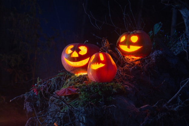 Halloween Kürbisse im Wald