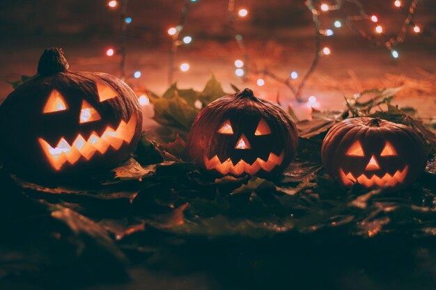 Foto halloween pumpkins foto de fundo em hd