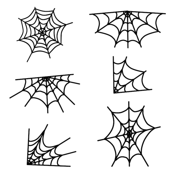 Foto halloween-spinnennetz isoliert auf weißem hintergrund vektorillustration