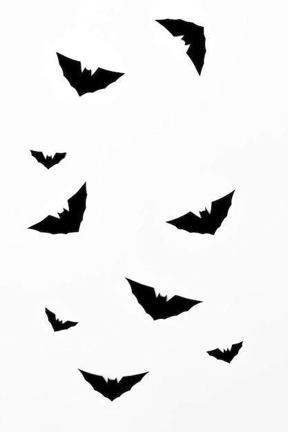 Halloween-Symbolkonzept Silhouette der fliegenden Horror-schwarzen Fledermaus isoliert auf weißem Hintergrund