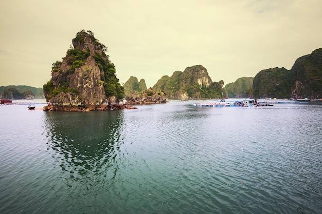 Halong