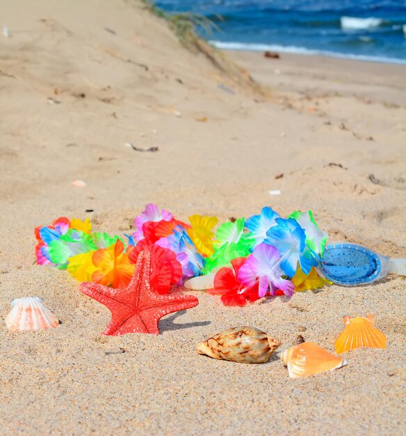 Foto halskette und schutzbrille mit seesternen am meer