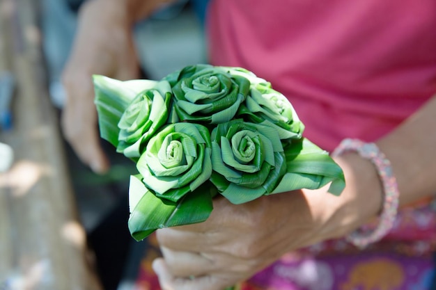 Halten Sie eine Hand, um Pandan-Blattrosen zu machen