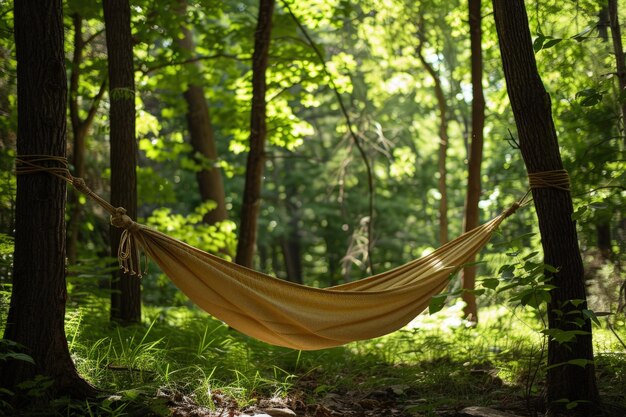 Una hamaca colgada entre dos árboles en un bosque