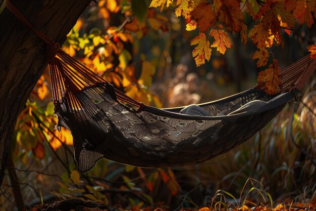 Una hamaca colgando de un árbol en un bosque