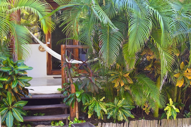 Hamaca colgante de trapo en una palmera lugar de relajación en los trópicos exóticos paisajes de verano