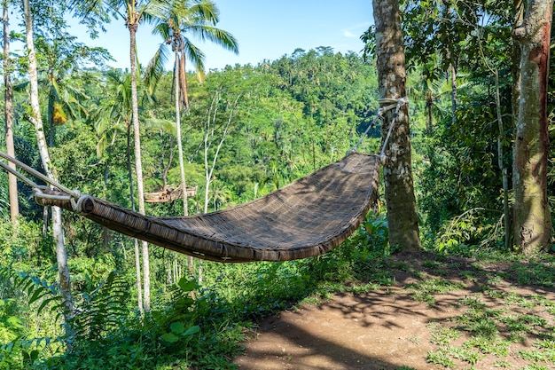 Hamaca de mimbre de bambú junto a la selva tropical en la isla de Bali, Indonesia, cerrar