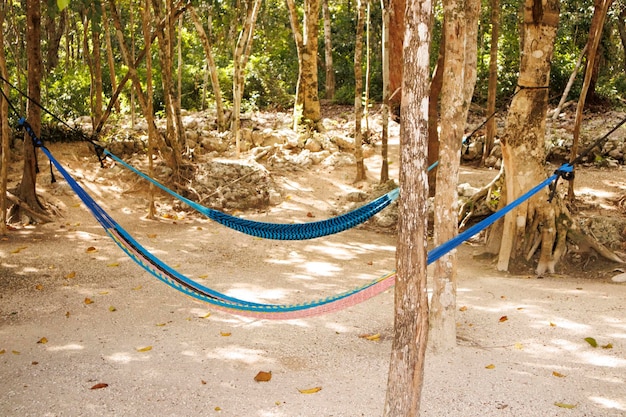Foto hamaca na praia tropical de tulum