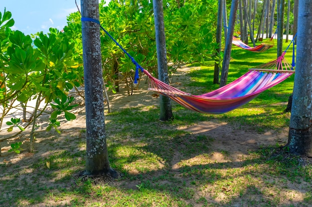 Hamaca entre palmeras en playa tropical. Paradise Island para vacaciones y relax.