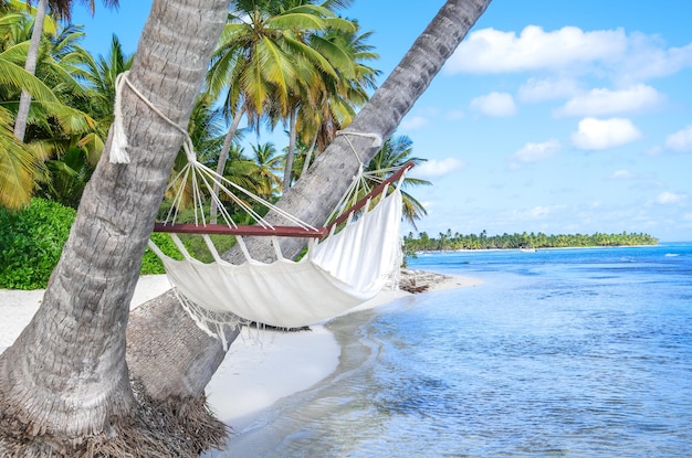 Hamaca vacía entre palmeras en la playa tropical.