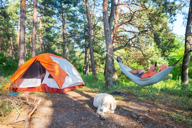 Hamacas en los árboles en el camping del bosque.