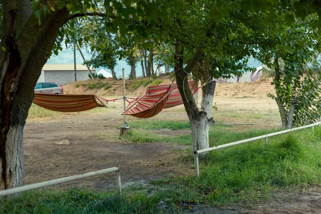 Hamacas en árboles, lugar para relajarse.