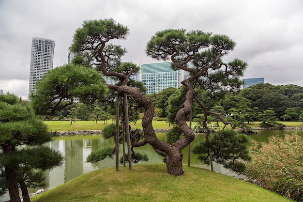 Hamarikyu Gardens em Tóquio, Japão