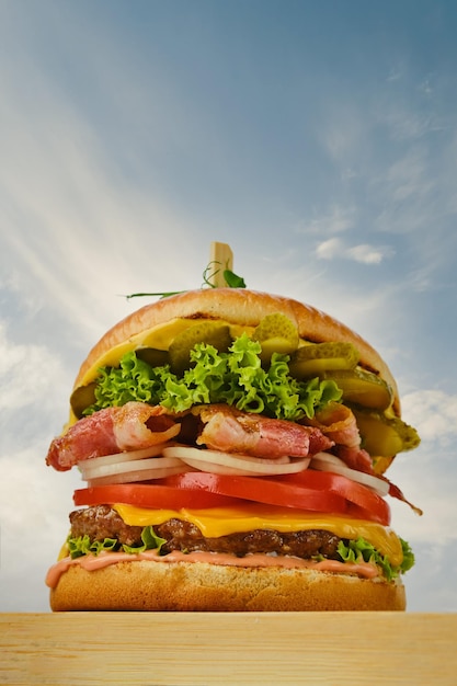 Hamburguesa de ternera con queso bacon y verduras