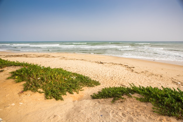 Hammamet na tunísia