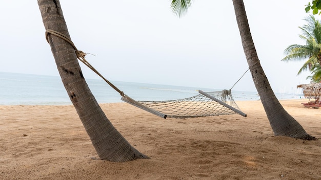 Foto hammock rest relaxe entre dois coqueiros em uma ilha tropical com uma bela praia ao pôr do sol