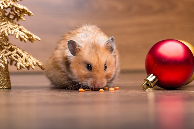 Hamster bonito com chapéu de papai noel na mesa