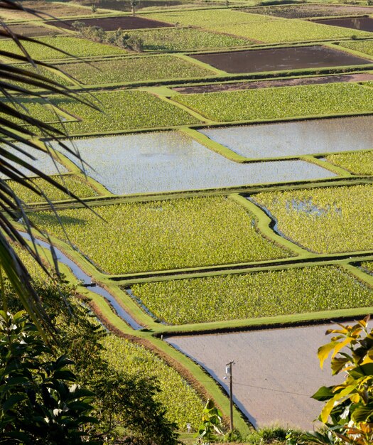 Hanalei-Tal in Kauai