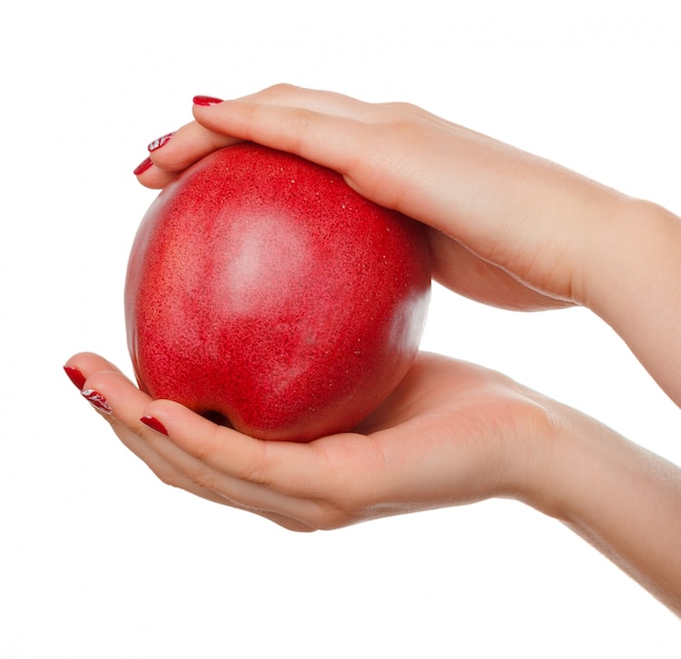 Hand der Frau, die roten Apfel anhält.