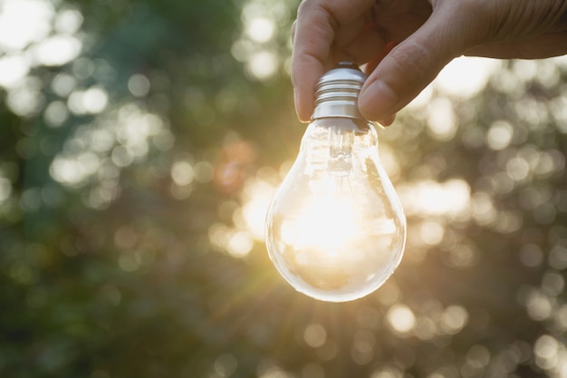 Hand der Person Glühlampe für Idee oder Erfolg oder Solarenergiekonzept halten.