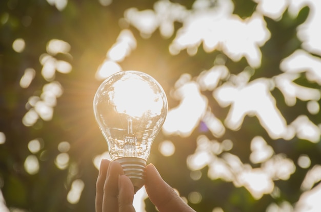 Hand der Person Glühlampe für Idee oder Erfolg oder Solarenergiekonzept halten.