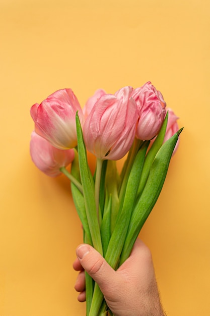 Foto hand des mannes, der zarte rosa tulpen auf der unterseite des pastellgelben hintergrunds hält. grußkarte zum frauentag. flach liegen. konzept des internationalen frauentags, des muttertags, des osters. valentinstag lieben tag