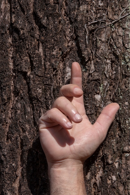 Hand des Menschen auf Baumstamm, in einer symbolischen Geste der Gnade und des Schutzes, in Bezug auf die Natur