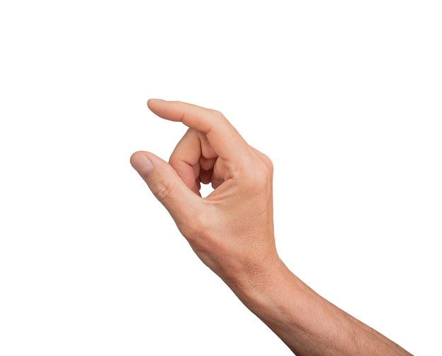 Hand, die ein wenig etwas Isoliertes auf weißem Hintergrund hält Geste, die auf eine Knirsche oder