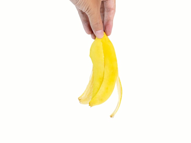 Hand, die eine Bananenschale hält, eine goldgelbe Frucht, die vollständig gegessen wurde und nur die Schale übrig lässt. Aufnahme im Studio auf weißem Hintergrund mit Beschneidungspfaden und isoliertem Kopierbereich