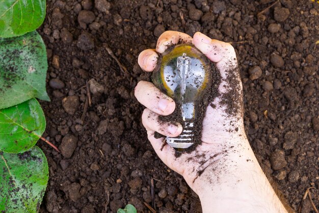 Foto hand, die eine glühbirne auf bodenhintergrund hält, symbolisiert erneuerbare energie und nachhaltige quellen