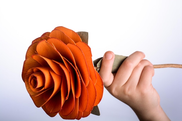 Hand, die eine Rose hält