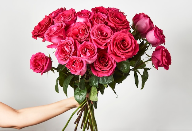 Hand, die einen Blumenstrauß der rosa Rosen auf weißem Hintergrund mit Kopienraum hält.