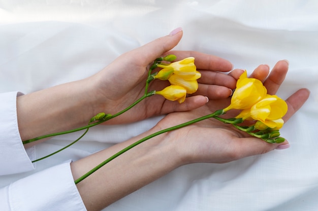 Foto hand, die elegante blume hält