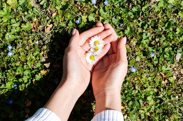 Hand, die elegante Blume hält