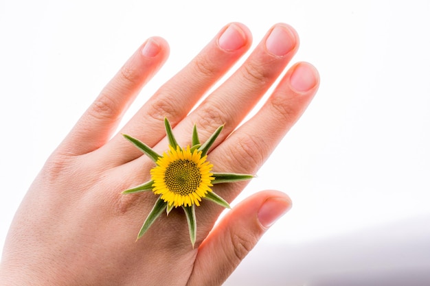 Hand, die gelbe Sonnenblume hält