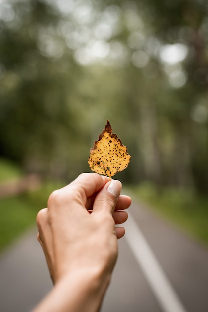 Hand, die gelbes Blatt auf gelbem Straßenhintergrund des Herbstes hält